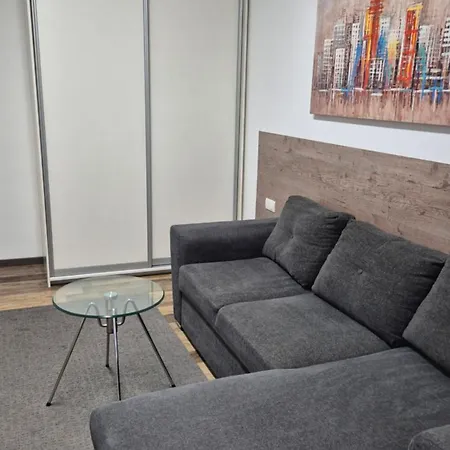 Cozy In The Center Of - Living Room, Bedroom And Bathroom * ベオグラード