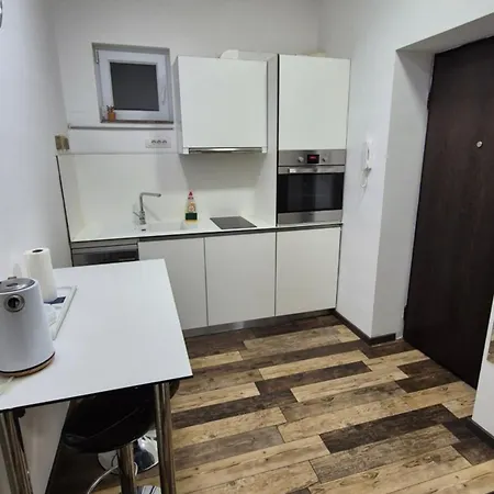 Cozy In The Center Of - Living Room, Bedroom And Bathroom アパート ベオグラード