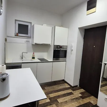 Cozy In The Center Of - Living Room, Bedroom And Bathroom 贝尔格莱德