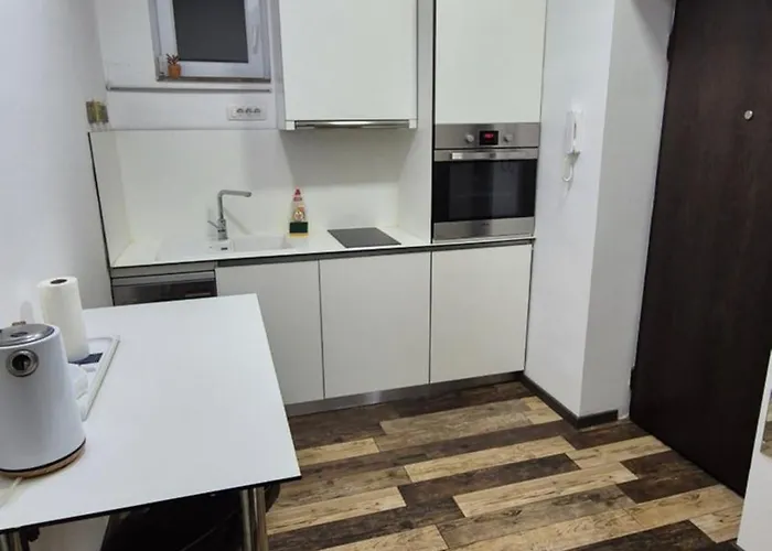 Cozy In The Center Of - Living Room, Bedroom And Bathroom アパート ベオグラード