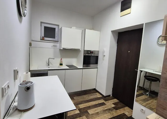 Cozy In The Center Of - Living Room, Bedroom And Bathroom Beograd
